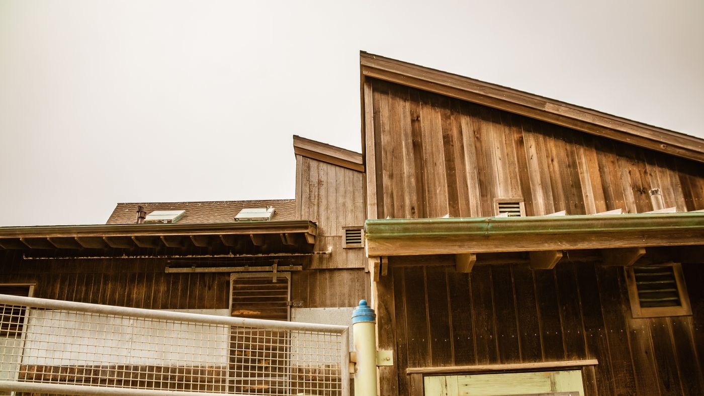 Red run-in shed with horses